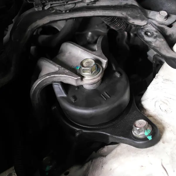 Rubber Diaphragms
