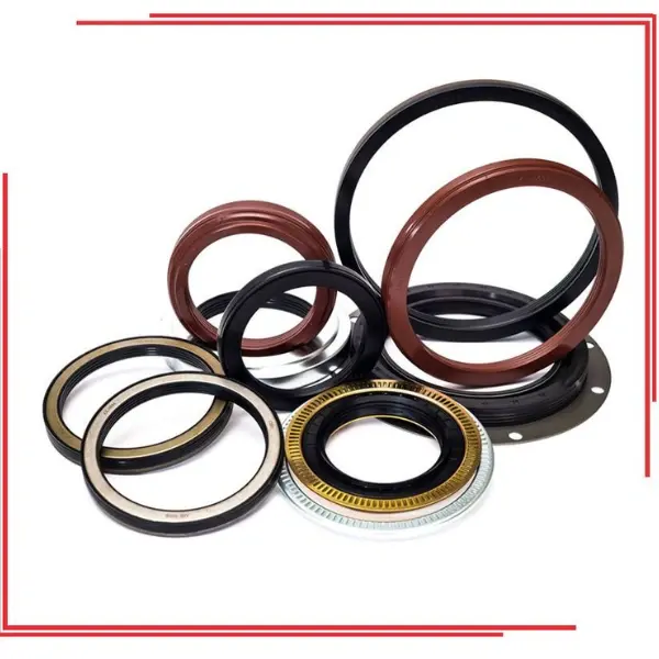 Seals & Gasket