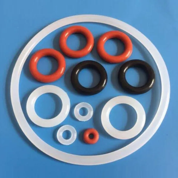 Seals & Gasket